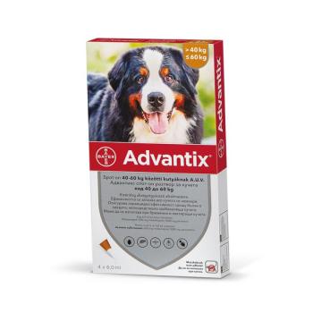 Advantix Spot On oldat kutyáknak A.U.V. 40-60 kg közötti kutyáknak (1 x 6,0 ml) kép