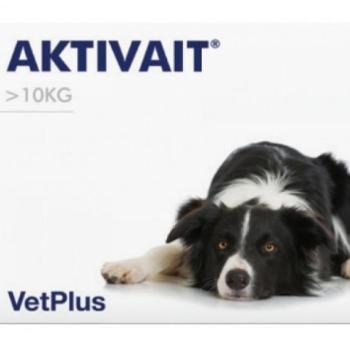 Aktivait Medium and Large Breed tabletta 60 db kép