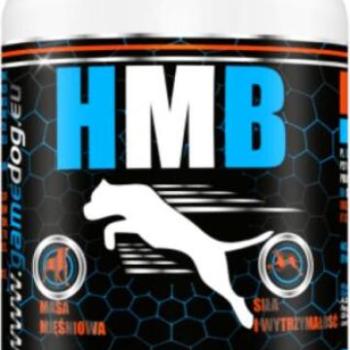 AniFlexi HMB izomépítő tabletta 120 db kép