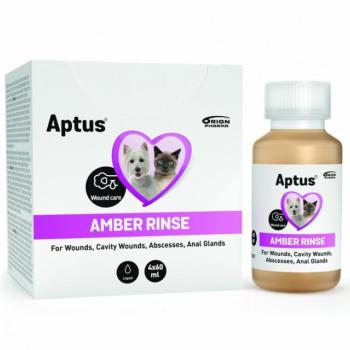 Aptus Amber Rinse 4 x 60 ml kép