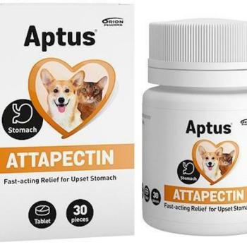 Aptus Attapectin emésztést könnyítő tabletta 30 db kép