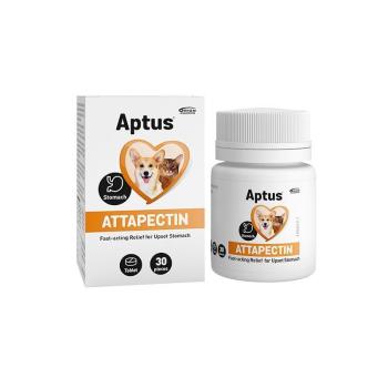 Aptus Attapectin tabletta 30 db kép