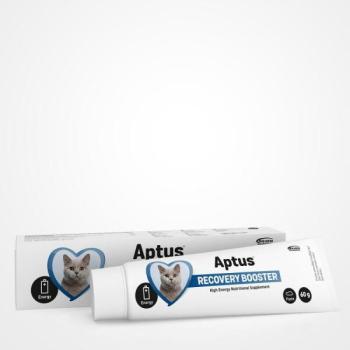 Aptus Recobooster Cat 60 g kép