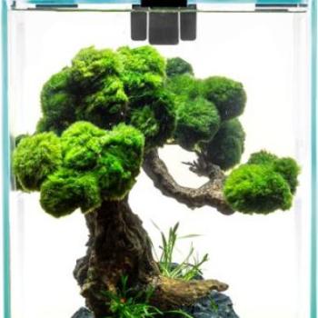 AQUAEL Shrimp Set Day & Night LED 10l kép