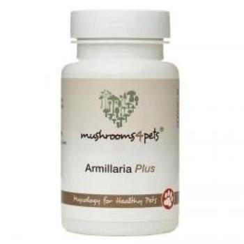 Armillaria Plus (500 mg) 60 db kép