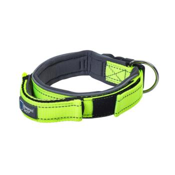 ArmoredTech Dog Control narancssárga nyakörv kutyáknak- XS: nyakkerület 31-35 cm, szélesség 30 mm kép