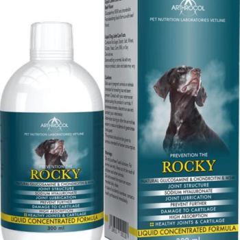 Arthrocol Rocky 300 ml kép