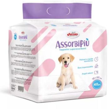 AssorbiPiu Kutyapelenka 60x40 40 db kép