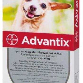 Bayer Advantix Spot On 4 kg alatt 4x0,4 ml kép