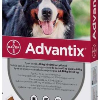 Bayer Advantix Spot On 40-60 kg 6 ml kép