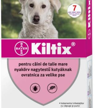 Bayer Kiltix bolhanyakörv L 70 cm kép