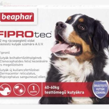 Beaphar FIPROtec Spot On XL 40 kg feletti 402 mg kép