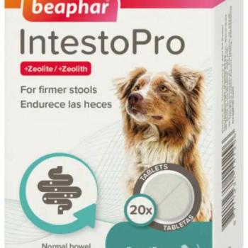 Beaphar IntestoPro Large tabletta hasmenésre 20 kg feletti kutyáknak 20 db kép