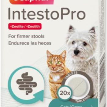 Beaphar IntestoPro tabletta 20 kg alatti kutyák számára 20 db kép