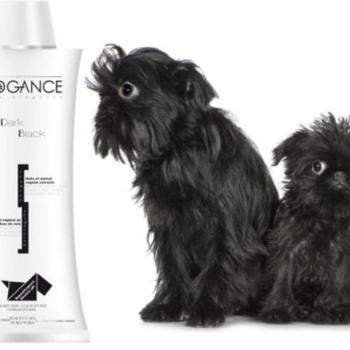 BIOGANCE Dark Black 250ml kép