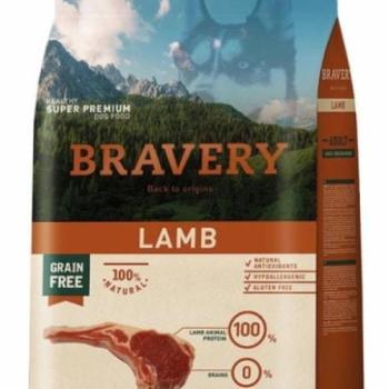 Bravery Dog Adult Large & Medium Grain Free Lamb 12 kg kép