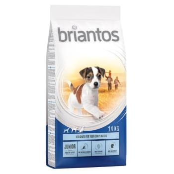 Briantos Junior  Young & Fit csirke & rizs - 2 x 14 kg kép