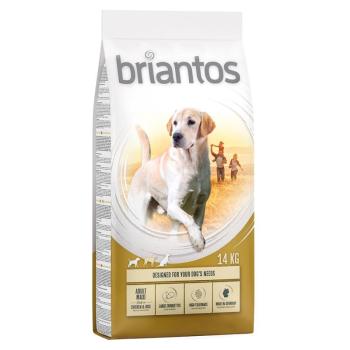 Briantos száraztáp gazdaságos csomagban - Adult Maxi  (2 x 14 kg) kép