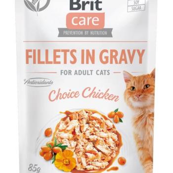 Brit Care Cat Fillets in Gravy - Chicken 85 g kép