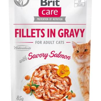 Brit Care Cat Fillets in Gravy - Salmon 85 g kép