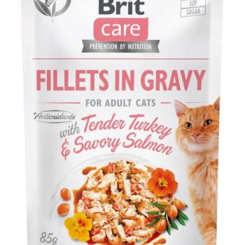 Brit Care Cat Fillets in Gravy - Turkey & Salmon 85 g kép