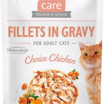 Brit Care Fillets in gravy chicken 85 g kép