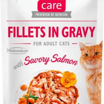 Brit Care Fillets in gravy salmon 24x85 g kép