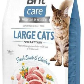 Brit Care Large Cats Power & Vitality 2 kg kép