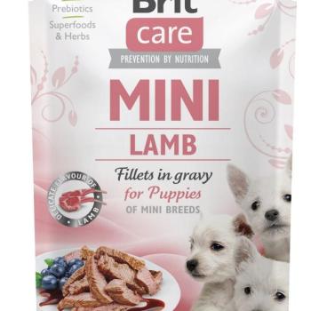 Brit Care Mini Fillets in Gravy for Puppies - Lamb 85 g kép