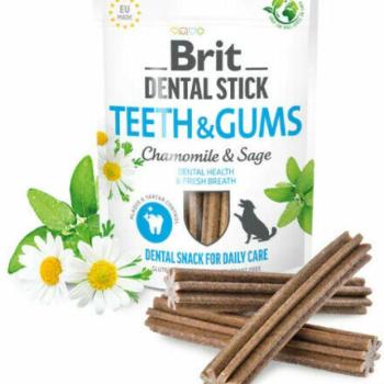 Brit Dental Stick Teeth&Gums kamillával és zsályával 251 g kép