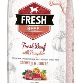 Brit Fresh Beef with Pumpkin Puppy 2,5 kg kép