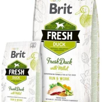 Brit Fresh Duck with Millet Adult Run Work 12 kg kép