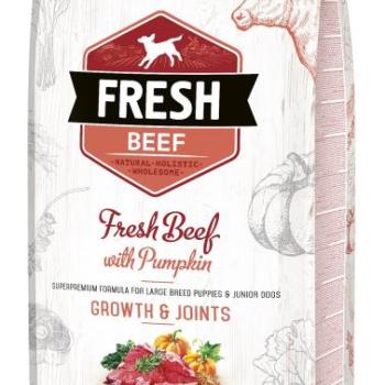 Brit Fresh Puppies & Junior Dogs Growth & Joints - Marha és sütőtök 12 kg kép