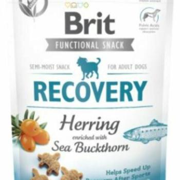 Brit Functional Snack Recovery herring 150 g kép