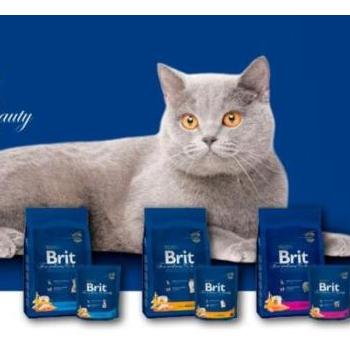 Brit Premium Adult salmon 8 kg kép