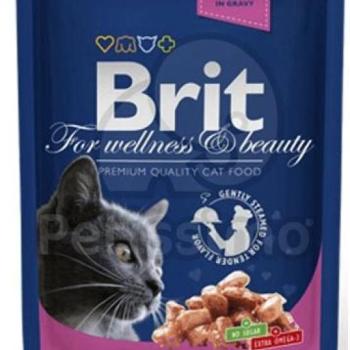 Brit Premium Cat salmon & trout 24x100 g kép