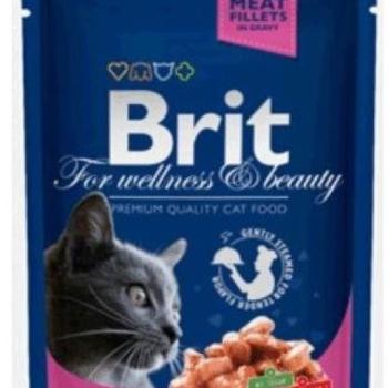 Brit Premium salmon & trout 100 g kép