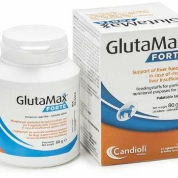 Candioli Pharma Glutamax Forte májvédő tabletta 40 db kép