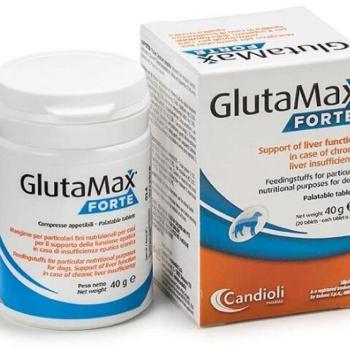 Candioli Pharma GlutaMax Forte tabletta 20 db kép