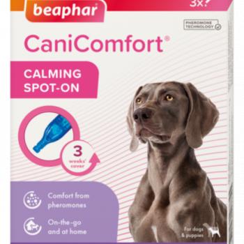 CaniComfort Feromonos Spot-On, Beaphar kép