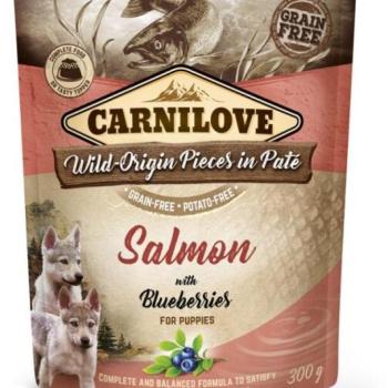 CARNILOVE Dog Puppy Salmon with Blueberries 300 g kép