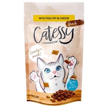 Catessy kép