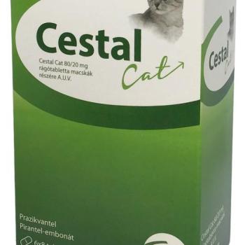 Cestal Cat rágótabletta 48 db kép