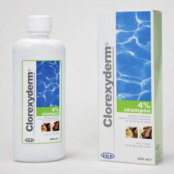 Clorexyderm 4%-os sampon 250 ml kép