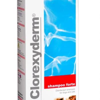 Clorexyderm Forte sampon 200 ml kép