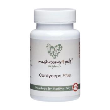 Cordyceps Plus 60 db kép