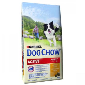 Dog Chow Active 14 kg kép