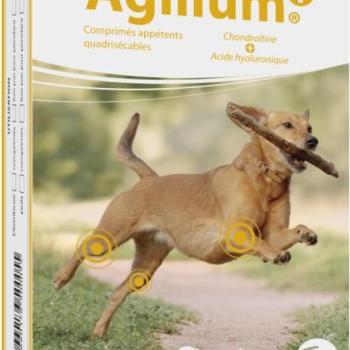 DOG VITAL Agilium+ ízületvédő tabletta 30 db kép