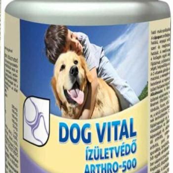 DOG VITAL Arthro-500 izületvédő 60 db kép