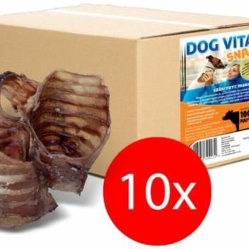 DOG VITAL Marhagége 10 db kép